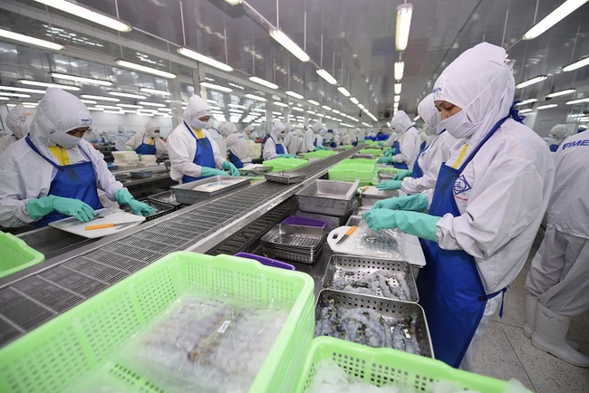 EVFTA đang tạo ra sức bật mới cho ngành thủy sản Việt Nam  - Ảnh 2.