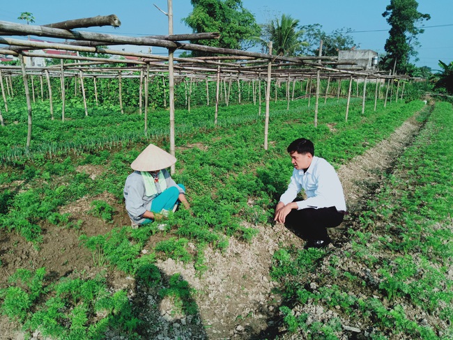 Đào tạo nghề, chuyển dịch cơ cấu lao động ở huyện Nông Cống - Ảnh 1.