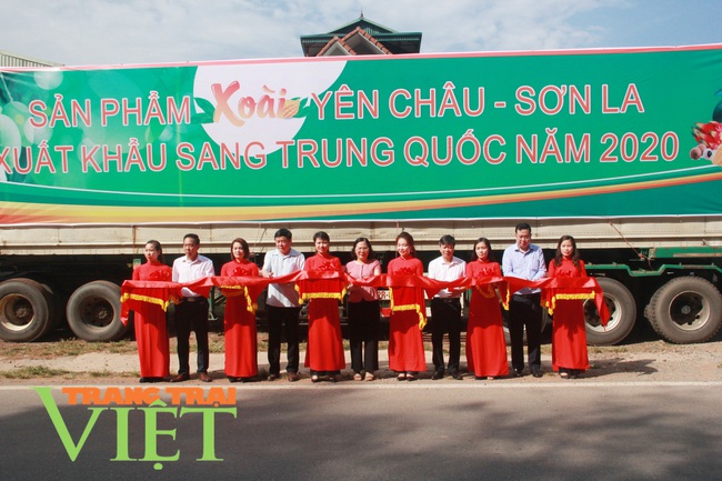 Hội nghị thúc đẩy cơ cấu ngành nông nghiệp được tổ chức tại Sơn La - Ảnh 9.