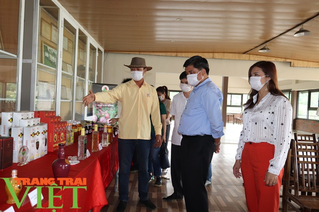 Hội nghị thúc đẩy cơ cấu ngành nông nghiệp được tổ chức tại Sơn La - Ảnh 8.