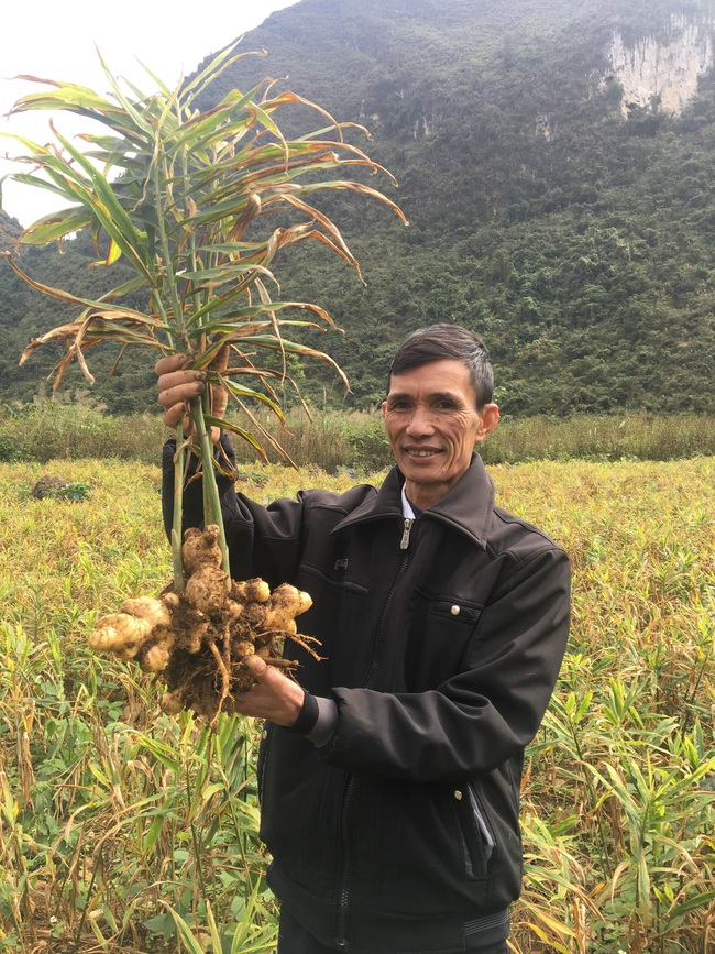 Chương trình xây dựng nông thôn mới giai đoạn 2: Đề xuất huy động hơn 2,1 triệu tỷ đồng  - Ảnh 4.