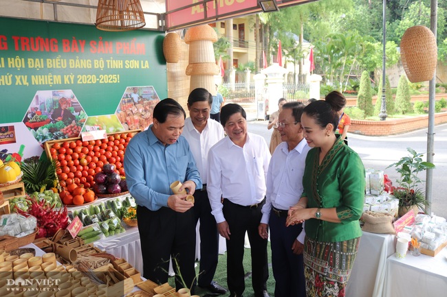 Vẽ lại bức tranh nông nghiệp Trung du miền núi phía Bắc - Ảnh 1.