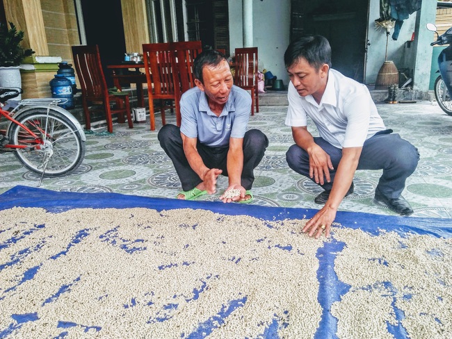 &quot;Hô biến&quot; ốc bươu vàng, cá rô phi thành thức ăn hữu cơ, nông dân giảm chi phí, tăng lợi nhuận   - Ảnh 3.