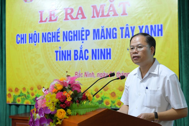 Bắc Ninh: Lập chi hội nghề nghiệp &quot;rau vua&quot; măng tây xanh đầu tiên trên quy mô toàn tỉnh - Ảnh 2.