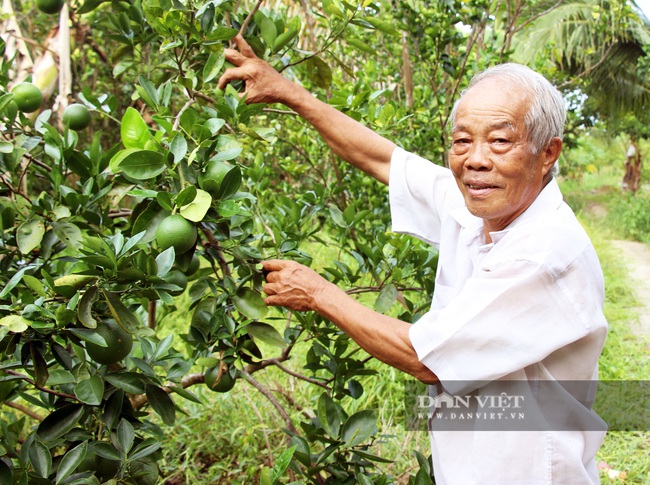 Nguyên Bí thư tỉnh đoàn thu nửa tỷ/năm từ khu vườn “U Minh Hạ thu nhỏ” - Ảnh 1.