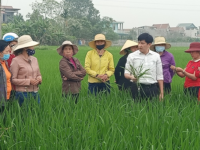 Dạy nghề cho lao động nông thôn: Nâng cao kỹ năng thích ứng và chuyển đổi nghề nghiệp - Ảnh 1.