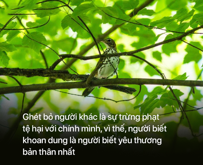 Chủ nhà không cho vị pháp sư ngủ lại một đêm, 3 năm sau phải xấu hổ vì một việc làm của pháp sự - Ảnh 2.