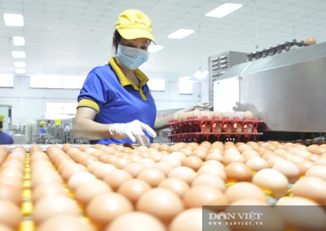 “Thực phẩm chế biến là cơ hội vàng cho nông nghiệp Việt” - Ảnh 5.