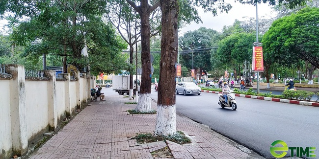 Tập đoàn Tân Hoàng Minh muốn đầu tư khu đất vàng 4,26ha TP Buôn Ma Thuột  - Ảnh 1.