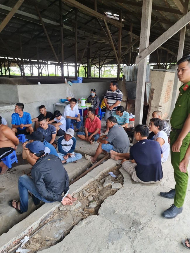 Công an Cần Thơ bắt quả tang hàng trăm đối tượng tụ tập đá gà, lắc tài xỉu ăn tiền tại kho gạo bỏ hoang - Ảnh 3.