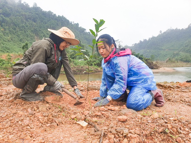 Trồng gần 4.000 cây gỗ lớn tại Vườn quốc gia Bạch Mã - Ảnh 1.