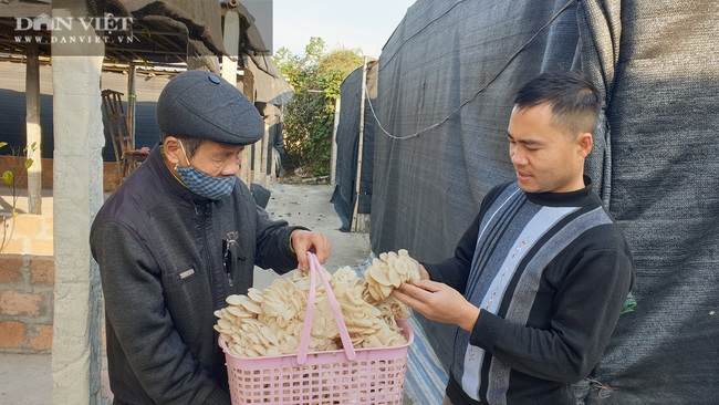 Thái Bình: Khấm khá nhờ trồng nấm sạch, mỗi năm bỏ túi hàng trăm triệu đồng - Ảnh 2.