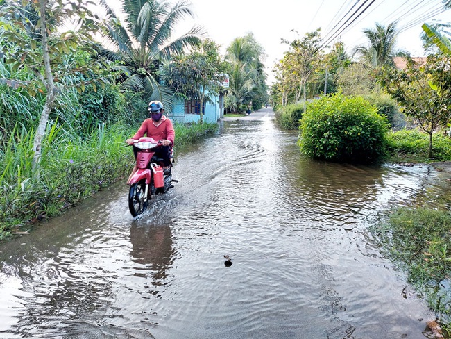 Bến Tre: Triều cường ngập cao kỷ lục, Giám đốc Trung tâm khí tượng thủy văn tỉnh lý giải như thế nào? - Ảnh 1.