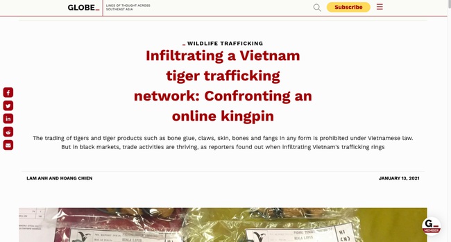 Loạt bài điều tra “Xâm nhập đường dây buôn hổ xuyên quốc gia” của Dân Việt được dịch đăng báo nước ngoài - Ảnh 1.