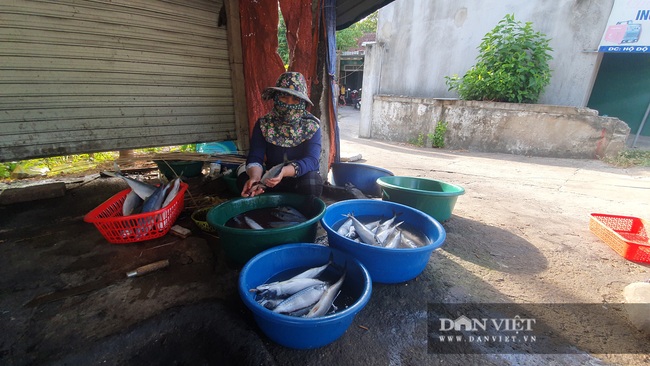 Hà Tĩnh: Đặc sản cá nướng Hộ Độ ‘hút’ khách đi đường - Ảnh 3.