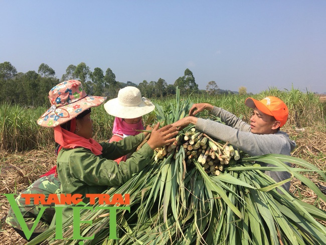 Xã Nà Bó gìn giữ và phát huy tốt các tiêu chí nông thôn mới - Ảnh 5.