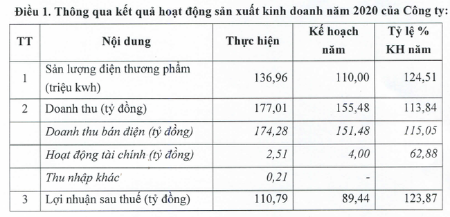 Điện Miền Trung (SEB) năm 2020 đạt 111 tỷ đồng lợi nhuận vượt 24% kế hoạch năm - Ảnh 1.