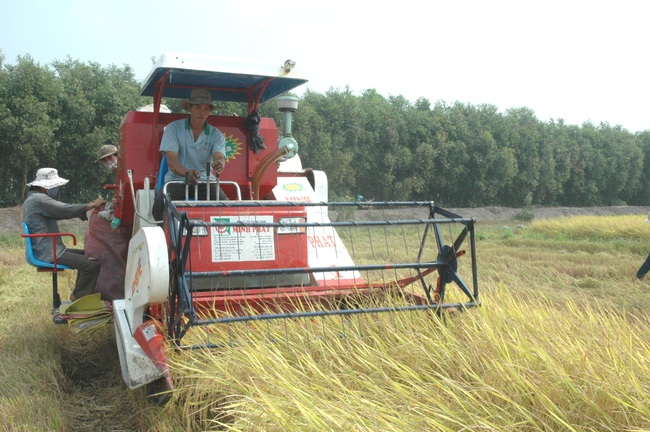 Tỉnh du lịch, dầu khí hối hả thúc doanh nghiệp “bắt tay” tiêu thụ nông sản cho nông dân - Ảnh 3.