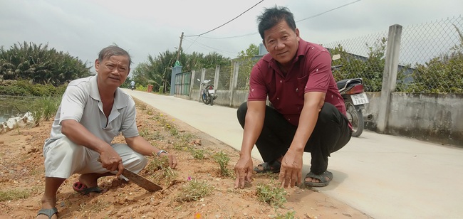 Hội Nông dân TP.HCM “biến” hàng loạt đường rác thành đường hoa ở nông thôn - Ảnh 2.