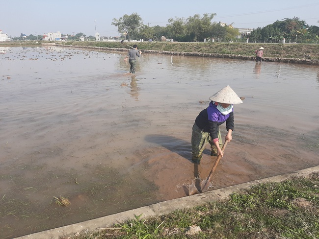 Thay đổi tập quán canh tác để tiết kiệm nước  - Ảnh 4.