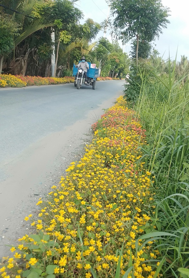 Hội Nông dân TP.HCM “biến” hàng loạt đường rác thành đường hoa ở nông thôn - Ảnh 3.