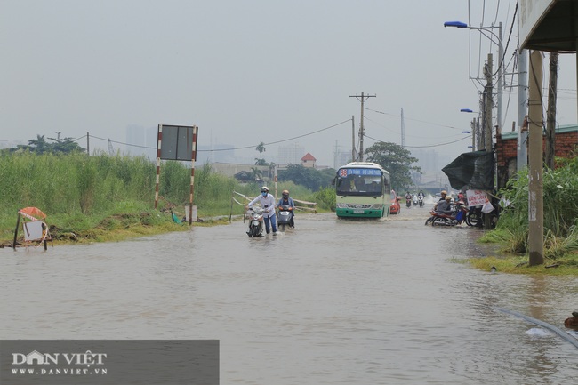 Bài toán xây dựng thành phố Thủ Đức trở thành đô thị sáng tạo, ít ngập - Ảnh 3.