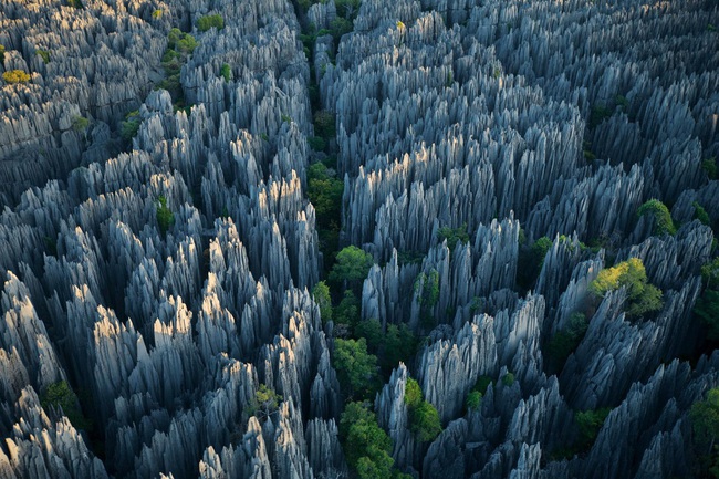 Khám phá &quot;khu rừng đá&quot; vô cùng độc đáo ở Madagascar - Ảnh 2.