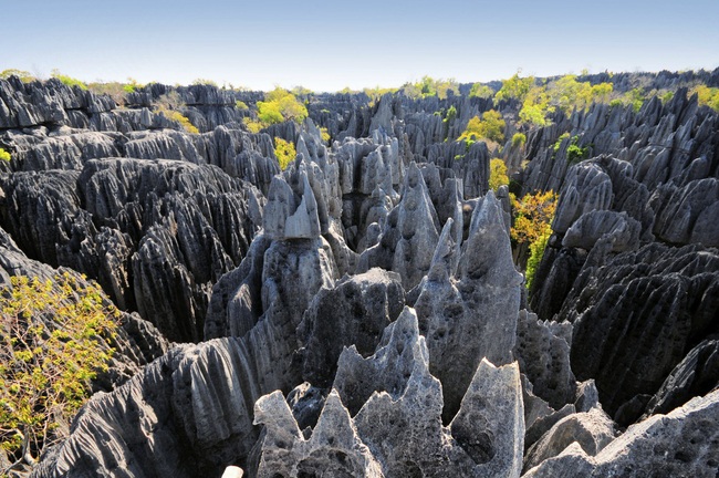 Khám phá &quot;khu rừng đá&quot; vô cùng độc đáo ở Madagascar - Ảnh 3.