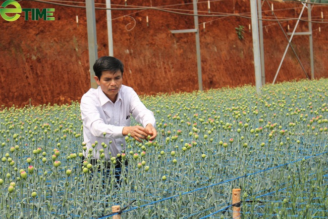 Người dân làm nông nghiệp công nghệ cao tại Lâm Đồng đang &quot;khát vốn&quot; - Ảnh 2.