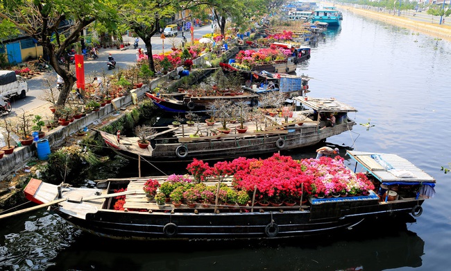 TP.HCM: Chợ hoa &quot;trên bến dưới thuyền&quot; bến Bình Đông sắp họp, năm nay có điểm đặc biệt - Ảnh 1.