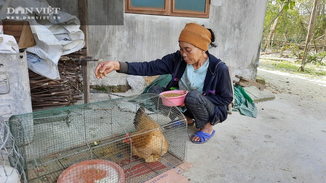 Quảng Trị: Dân phản ánh lúa giống nảy mầm tỷ lệ thấp, cơ quan chức năng nói gì? - Ảnh 2.