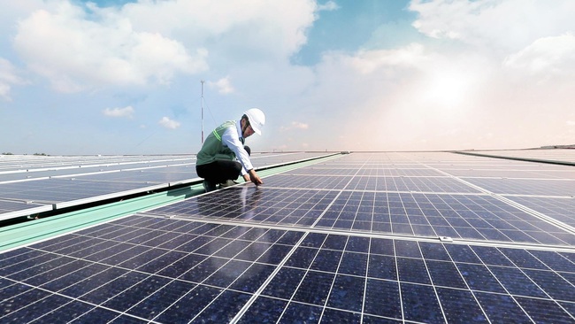 Chủ tịch TT-Huế yêu cầu kiểm tra hoạt động của các trang trại “điện mặt trời”  - Ảnh 1.