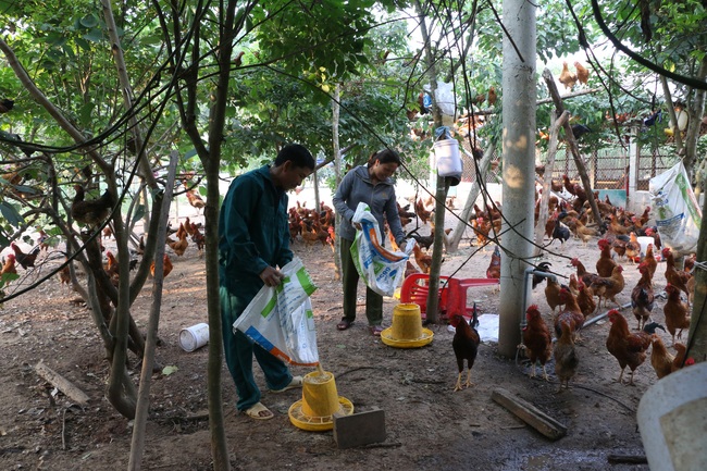 Hội đồng hành giúp bệnh nhân lao vượt khó - Ảnh 1.