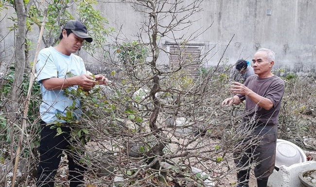 Lai Châu: Một xã trồng 400.000 chậu địa lan quý hiếm, Tết này chỉ bán 500 chậu, giá 1 chậu địa lan bao nhiêu triệu? - Ảnh 10.