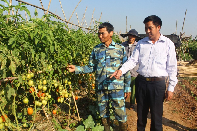 Hội vào cuộc, xóm thôn sáng, xanh, sạch, đẹp - Ảnh 1.