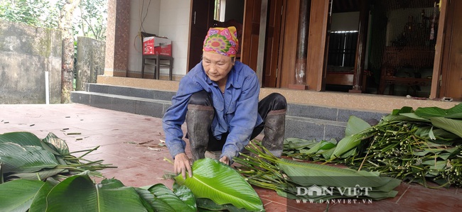 Làng lá dong Vĩnh Phúc (Hà Tĩnh) vào vụ Tết, kiếm tiền triệu mỗi ngày - Ảnh 7.