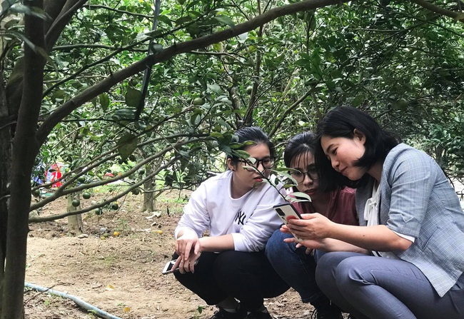 Cô gái trẻ nhạy bén tìm &quot;chỗ thoáng&quot; trong hành trình đưa nông sản Đăk Lăk ra biển lớn - Ảnh 5.