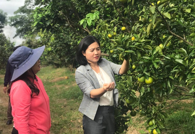 Cô gái trẻ nhạy bén tìm &quot;chỗ thoáng&quot; trong hành trình đưa nông sản Đăk Lăk ra biển lớn - Ảnh 4.