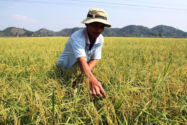 “Biến rác thành tiền”, giúp hội viên có vốn làm ăn - Ảnh 3.