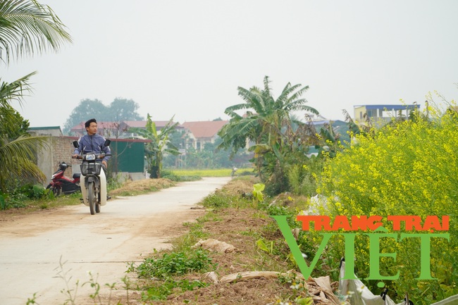 Người dân có thêm thu nhập, du khách có điểm chụp ảnh đẹp với cánh đồng hoa cải vàng mới ở Hà Nội - Ảnh 5.