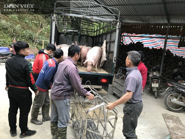 Nhờ bí quyết này nữ giám đốc nông dân đưa đặc sản lạp sườn gác bếp Bắc Kạn đi khắp cả nước - Ảnh 5.