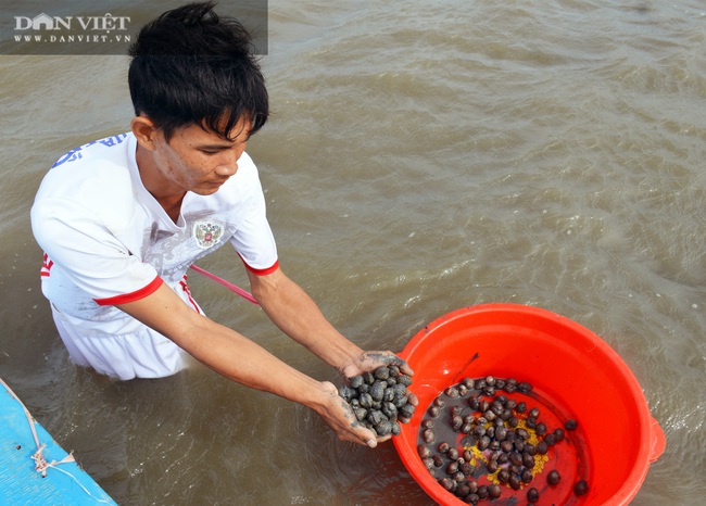 Cà Mau: Nhờ nguồn vốn Hội, nhiều nông dân thu tiền tỷ - Ảnh 3.