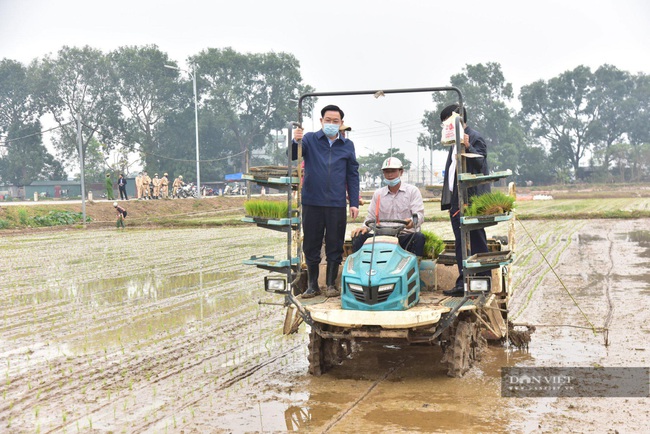 Lãnh đạo thành phố Hà Nội xuống đồng, động viên bà con nông dân - Ảnh 2.