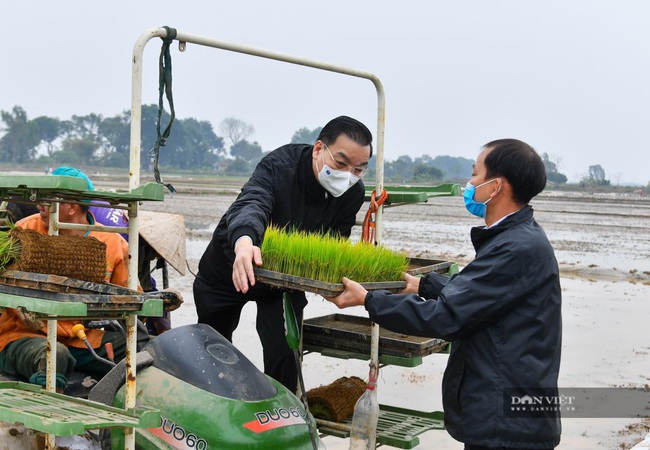 Lãnh đạo thành phố Hà Nội xuống đồng, động viên bà con nông dân - Ảnh 5.