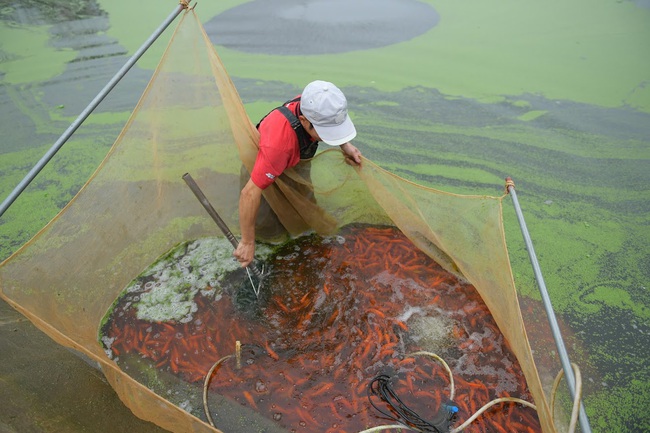 Người dân ở ngôi làng sản sinh &quot;phương tiện&quot; đưa Táo quân chầu trời đứng ngồi không yên vì dịch covid-19 - Ảnh 3.