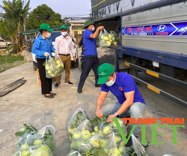 Tuổi trẻ Hải Dương chung tay cùng nông dân &quot;giải cứu&quot; nông sản - Ảnh 8.