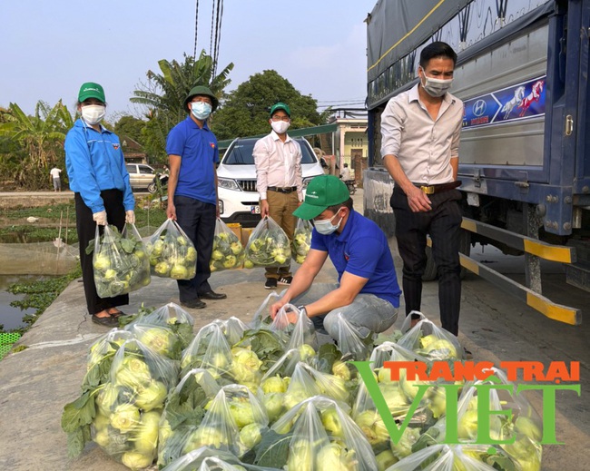 Tuổi trẻ Hải Dương chung tay cùng nông dân &quot;giải cứu&quot; nông sản - Ảnh 2.