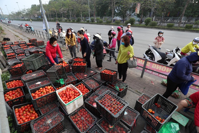 Hỗ trợ tiêu thụ nông sản trong dịch Covid-19: Sửa quy định để lưu thông hàng hóa - Ảnh 1.