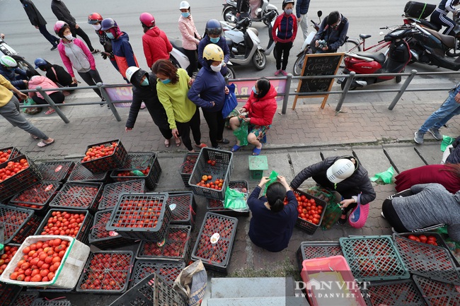 Người Hà Nội tích cực &quot;giải cứu&quot; nông sản vùng dịch - Ảnh 6.