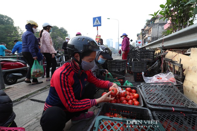 Người Hà Nội tích cực &quot;giải cứu&quot; nông sản vùng dịch - Ảnh 7.